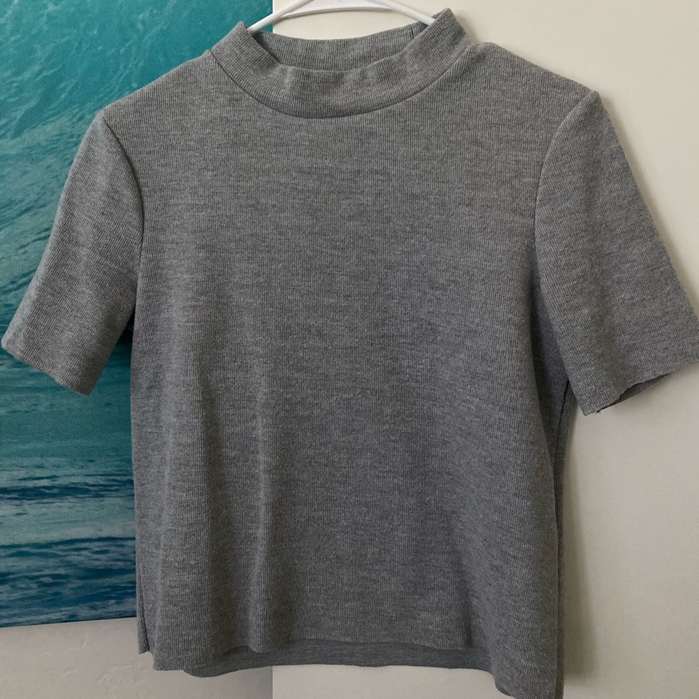 Gray cropped turtle neck